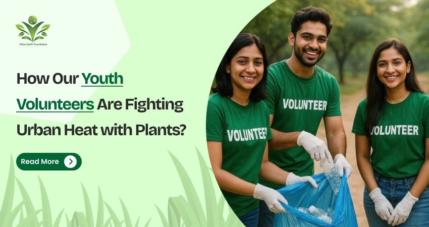 How Our Youth Volunteers Are Fighting Urban Heat with Plants