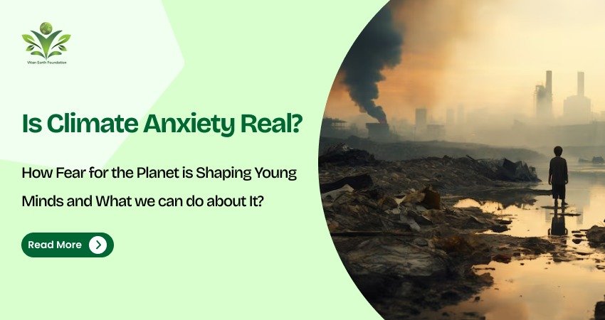Affect Of Climate Change On Mental Health (Is Climate Anxiety Real?)
