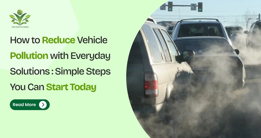 How to Reduce Vehicle Pollution with Everyday Solutions
